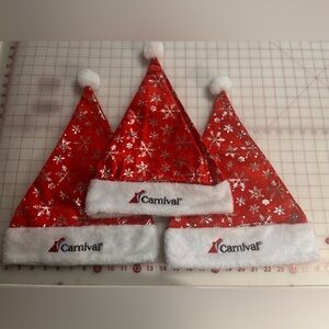 Red Santa Hat with White Trim
